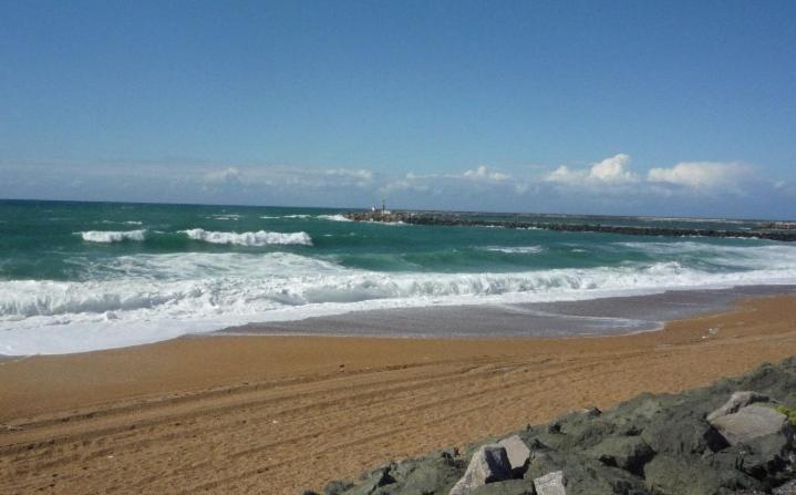 Le Cocon D'Aguilera A 200M Du Stade Et 2Km De La Plage Anglet Exterior photo